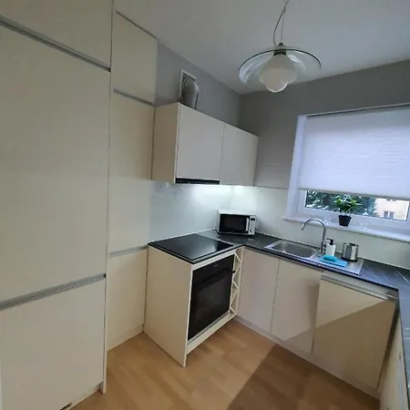 Zagony Apartment